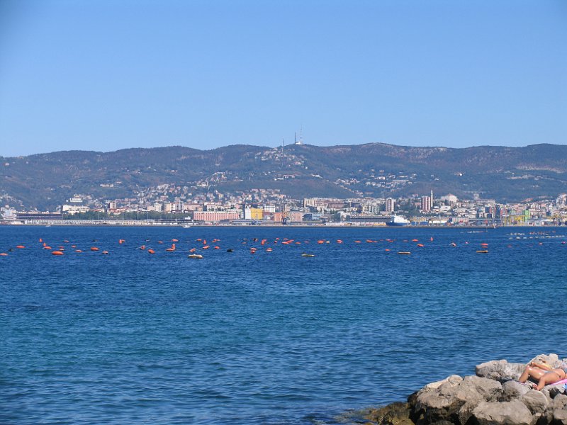 2012-09-08 13-13-50 Ludo.JPG